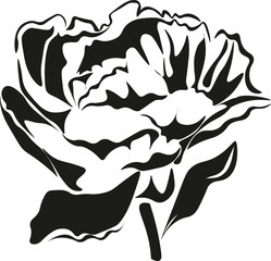 Fototapeta premium Black and White Cartoon Illustration Vector of a Flower on a Stem
