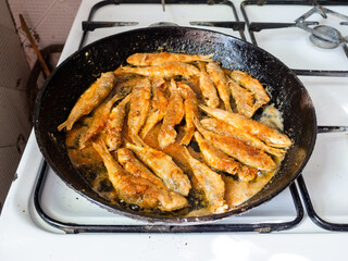 fried small Black Sea red mullet fishes in old round cast-iron frying pan on gas stove in rustic kitchen