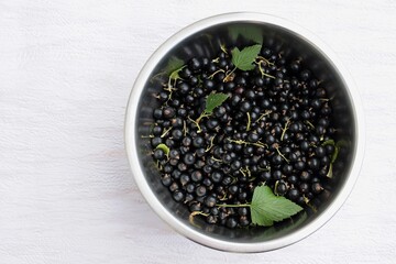 Fresh ripe black currant with leaves in metal bowl, top view. Gardening, harvest, healthy food concept