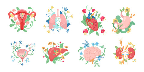 Human internal organs with flowers vector illustrations set. Brain, heart, bladder, kidneys, liver, stomach, lungs, uterus with floral elements isolated on white background. Anatomy, health concept