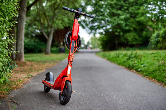 An orange electric scooter stands in the park against the background of green trees.