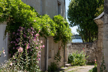 Old stone houses and hollyhocks in the picturesque village of Candes Saint Martin, at the...