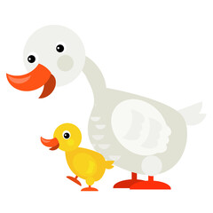 cartoon scene with duck family illustration
