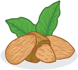 almonds with leaves