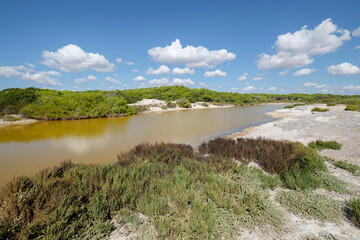 Salinas de Es Trenc,  Es Trenc-Salobrar de Campos, Área Natural de Especial Interés, municipio de Campos, Mallorca, balearic islands, Spain