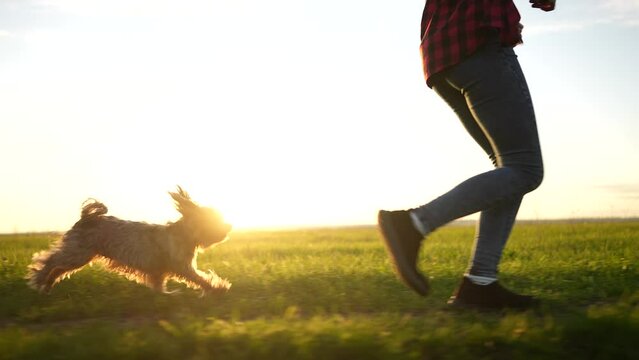 dog and teenage girl a running in the park legs close-up. animal pet run. sport health happy family kid dream concept. shaggy dog runs in nature in the park sun on the grass after the owner of girl