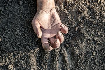 Dirty female hand lies on the ground.