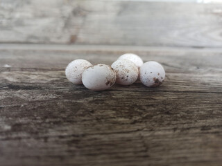 eggs shot on a wooden background - close-up