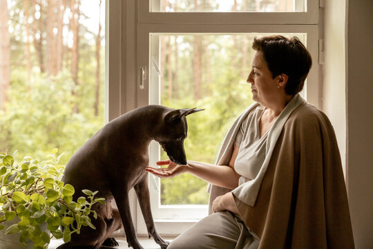 Middle age beautiful woman sitting on windowsill with her dog. 50-year-old woman spending time with her Mexican hairless dog at home. Xoloitzquintle, xolo breed. Dog as best friend, family member.