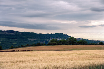 Obraz premium View of the mountains in spring in Auvergne, France, from a cereal field