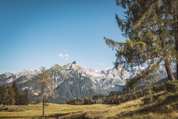 Landschaft | Sommer