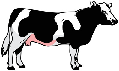 Illustration of a cow