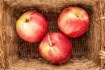 Three sweet nectarines in a wicker basket, macro, top view.