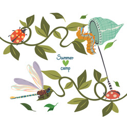 Vector illustration. Summer camp. Composition with plants, ivy, dragonfly, caterpillar, ladybugs. Postcards, stickers