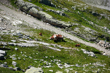 Alpenwanderung, Weißsee, Salzburgerland