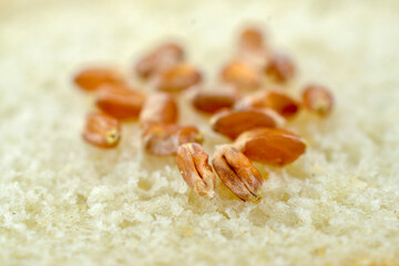 wheat seeds on a piece of bread, food concept