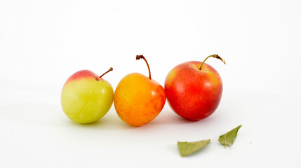 thee ripe wild organic plums on white