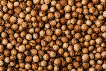 Coriander seeds. Coriander dry seeds background.