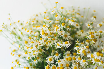 a bouquet of daisies in a white glass vase on a white table, flowers for grandmother's birthday, for women's day, flowers in a white interior