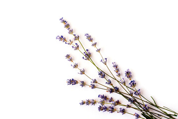 Bouquet of fragrant lavender on an isolated background. View from above