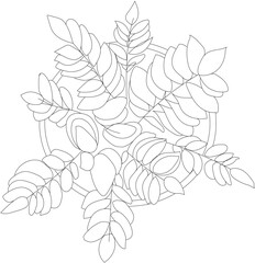 Top view potted plant. Vector house plant illustration. 