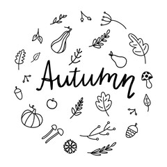 lettering drawn by hand with autumn elements. Vector