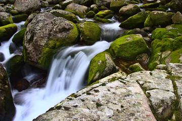 Naklejka na ściany i meble Mountain stream, National Park Retezat, Romania