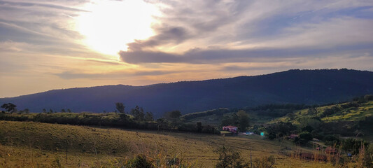 rural nature landscape in the interior of Brazil in a eucalyptus farm in the middle of nature