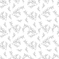 Vector seamless pattern with eucalyptus in doodle style. Fabric pattern, wallpaper, wrapping.