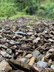 pile of wood, nepal