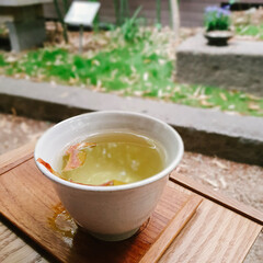 Green Tea with Dried Apples