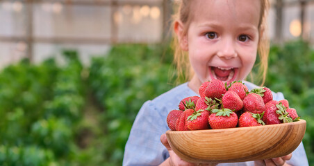 Amazed pre school girl with fresh picked strawberries organic berry farm summer