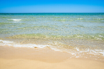 Fototapeta na wymiar superbe plage avec un ciel bleu en été
