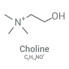 chemical structure of Choline (C5H14NO+)