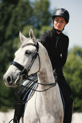 Obraz premium Equestrian sport. Portrait of young woman, female rider training at riding arena in summer day, outdoors. Dressage of horses. Horseback riding