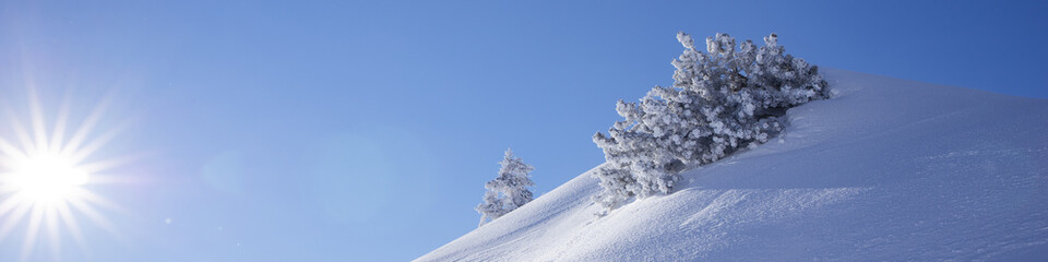 Universal Linkedin banner with sunny winter alpine landscape for any profession