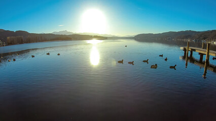 Naklejka premium Sunset view on Woerthersee in Poertschach in Carinthia, Austria.Few ducks crossing the lake. Calm surface of the lake is reflecting the mountains,sunbeams.Sunny day. Relaxed feeling. Alps, Lake Woerth