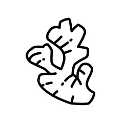 Ginger icon vector illustration in outline style. Vegetable sign