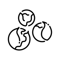 Brussels sprout icon vector illustration in outline style. Vegetable sign. Brussels cabbage sign