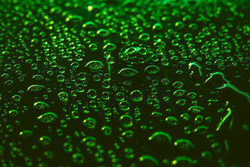 Water drops on green background. Close up of a water drops on a black and green gradient background, covered with drops of water -condensation.