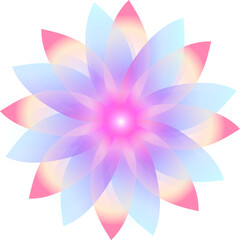 Illustration of drawing. Beautiful and colorful lotus flower wheel. Vector EPS10. Gradient blooming flower. Color wheel flower.