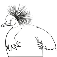 Illustration of duck