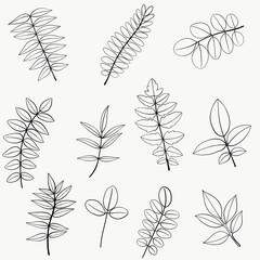 Simplicity floral freehand continuous line drawing flat design. - obrazy, fototapety, plakaty