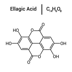 chemical structure of Ellagic acid (C14H6O8)