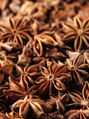 Closeup of dried aniseed on table
