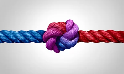Foto op Canvas Agreement and cooperation as a bipartisan or bipartisanship trust concept and connected symbol as two different ropes combining and tied together © freshidea
