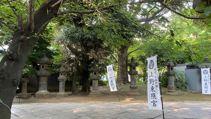 Stone lanterns at entrance of Japanese shrine, Ueno Toshogu shrine, built in 1627.  