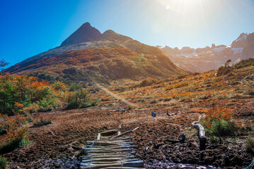 Hiking trail to the Esmeralda lake through magical colorful austral forests, peat bogs, dead trees,...
