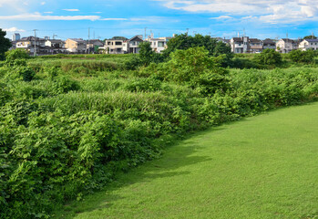 自然が豊かな住宅地
