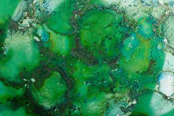Green alcohol Ink fluid background. Art painting